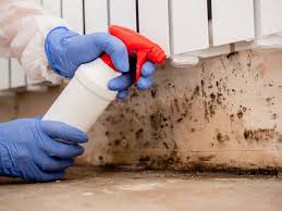 Mold Remediation for Rental Properties in Hiawatha, KS